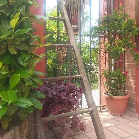 Bed and Breakfast Mosci's Bed & Beer San Damiano dʼAsti