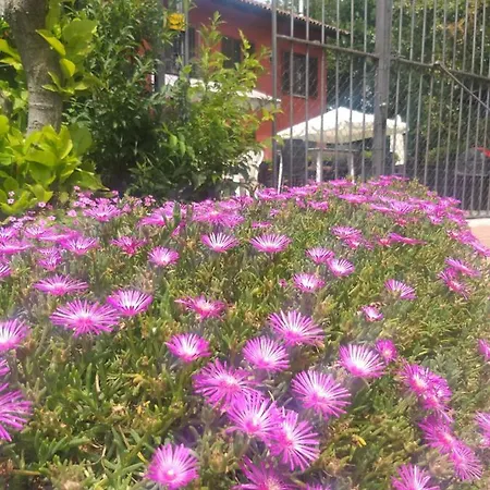 Mosci's Bed & Beer Bed and Breakfast 3*