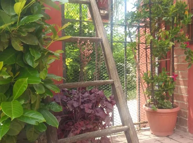 Bed & Breakfast Mosci's Bed & Beer San Damiano dʼAsti